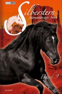 Silberstern, Sternentänzers Sohn: Bd 9: Im Land der wilden Mustangs: Band 9: Im Land der wilden Mustangs