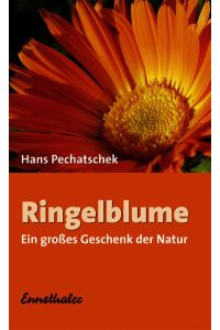 Ringelblume: Ein grosses Geschenk der Natur