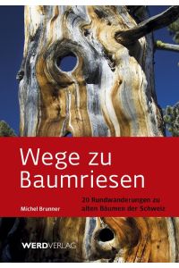 Wege zu Baumriesen: 20 Rundwanderungen zu alten Bäumen der Schweiz.