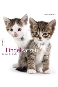 Findelkatzen : Helden der Straße.   - Aus dem Engl. von Verena Küstner