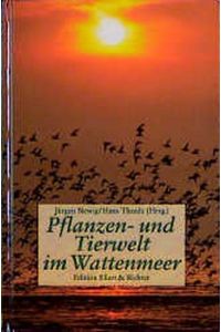 Pflanzen und Tiere im Wattenmeer (Edition Ellert & Richter)
