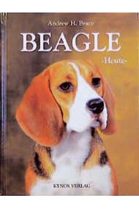 Beagle heute.