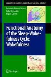Functional Anatomy of the Sleep-Wakefulness Cycle: Wakefulness