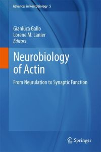 Neurobiology of Actin  - From Neurulation to Synaptic Function