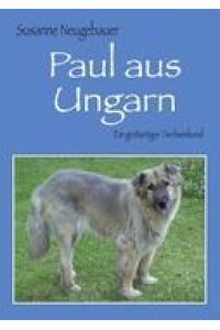 Paul aus Ungarn  - Ein großartiger Tierheimhund