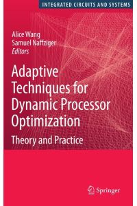 Adaptive Techniques for Dynamic Processor Optimization  - Theory and Practice