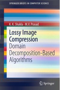 Lossy Image Compression  - Domain Decomposition-Based Algorithms