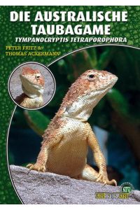 Die australische Taubagame  - Tympanocryptis Tetraporophora