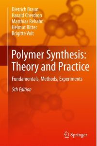 Polymer Synthesis: Theory and Practice  - Fundamentals, Methods, Experiments