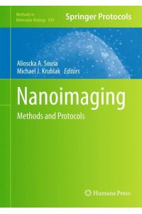 Nanoimaging  - Methods and Protocols