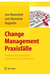 Change Management Praxisfälle  - Veränderungsschwerpunkte Organisation, Team, Individuum