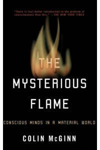 The Mysterious Flame  - Conscious Minds in a Material World