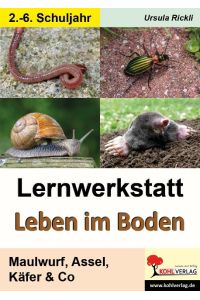 Lernwerkstatt Leben im Boden  - Maulwurf, Assel, Käfer & Co