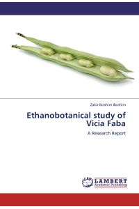 Ethanobotanical study of Vicia Faba  - A Research Report