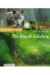 Der Urwald Sababurg  - Naturerlebnis Nordhessen