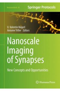 Nanoscale Imaging of Synapses  - New Concepts and Opportunities