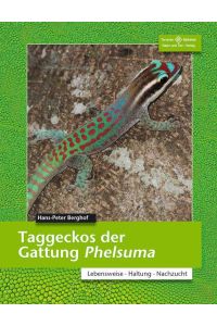 Taggeckos der Gattung Phelsuma