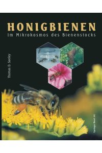 Honigbienen  - Im Mikrokosmos des Bienenstocks