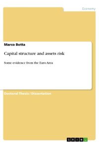 Capital structure and assets risk  - Some evidence from the Euro Area