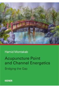 Acupuncture Point and Channel Energetics  - Bridging the Gap