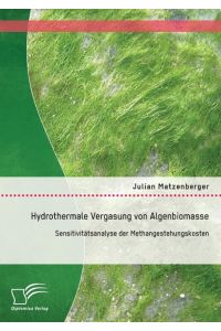 Hydrothermale Vergasung von Algenbiomasse: Sensitivitätsanalyse der Methangestehungskosten