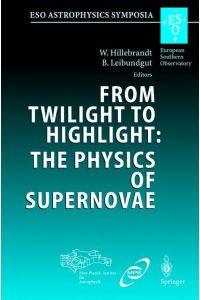 From Twilight to Highlight: The Physics of Supernovae  - Proceedings of the ESO/MPA/MPE Workshop Held at Garching, Germany, 29¿31 July 2002