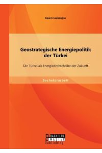 Geostrategische Energiepolitik der Türkei: Die Türkei als Energiedrehscheibe der Zukunft
