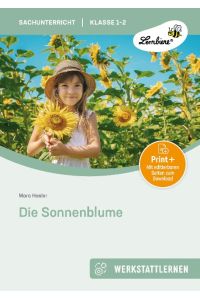 Die Sonnenblume. Grundschule, Sachunterricht, Klasse 1-2  - (1. und 2. Klasse)