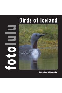 Birds of Iceland  - fotolulu's Bildband 4