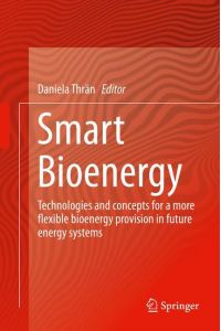 Smart Bioenergy  - Technologies and concepts for a more flexible bioenergy provision in future energy systems