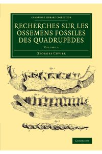 Recherches sur les ossemens fossiles des quadrupèdes - Volume 3