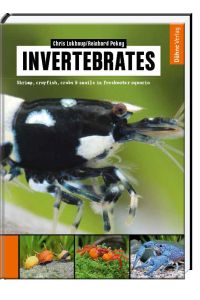 Invertebrates  - Shrimp, crayfish, crabs & snails in freshwater aquaria