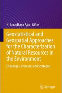 Geostatistical and Geospatial Approaches for the Characterization of Natural Resources in the Environment  - Challenges, Processes and Strategies