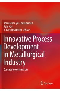 Innovative Process Development in Metallurgical Industry  - Concept to Commission