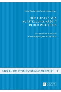 Der Einsatz von Aufstellungsarbeit in der Mediation  - Eine qualitative Studie über Anwendungsbeispiele aus der Praxis