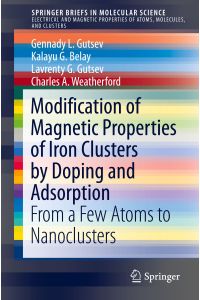 Modification of Magnetic Properties of Iron Clusters by Doping and Adsorption  - From a Few Atoms to Nanoclusters