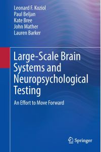 Large-Scale Brain Systems and Neuropsychological Testing  - An Effort to Move Forward
