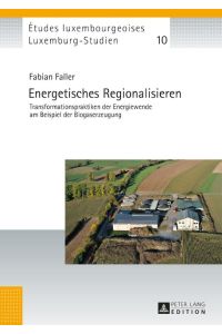 Energetisches Regionalisieren  - Transformationspraktiken der Energiewende am Beispiel der Biogaserzeugung