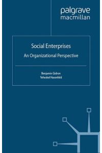 Social Enterprises  - An Organizational Perspective