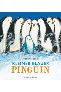 Kleiner blauer Pinguin  - Blue Pinguin