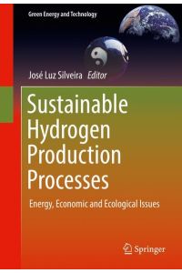 Sustainable Hydrogen Production Processes  - Energy, Economic and Ecological Issues