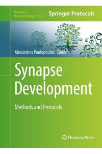 Synapse Development  - Methods and Protocols