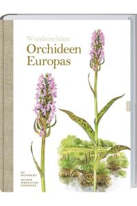 Wunderschöne Orchideen Europas