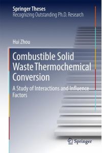 Combustible Solid Waste Thermochemical Conversion  - A Study of Interactions and Influence Factors