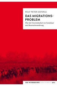 Das Migrationsproblem  - Über die Unvereinbarkeit von Sozialstaat und Masseneinwanderung