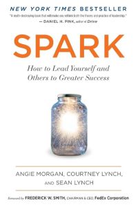 Spark  - How to Lead Yourself and Others to Greater Success