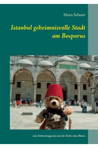 Istanbul geheimnisvolle Stadt am Bosporus  - eine Geburtstagsreise aus der Sicht eines Bären