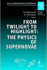 From Twilight to Highlight: The Physics of Supernovae  - Proceedings of the ESO/MPA/MPE Workshop Held at Garching, Germany, 29¿31 July 2002