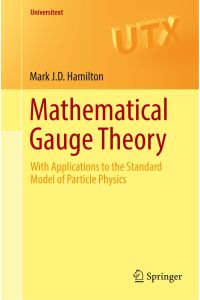 Mathematical Gauge Theory  - With Applications to the Standard Model of Particle Physics