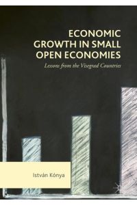 Economic Growth in Small Open Economies  - Lessons from the Visegrad Countries